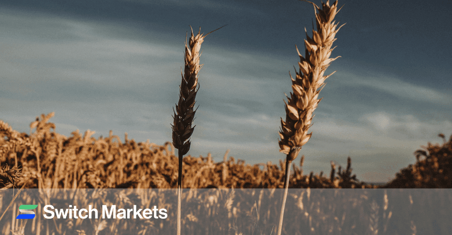 What is Seasonality in Commodity Trading, And How Can You Use This Strategy