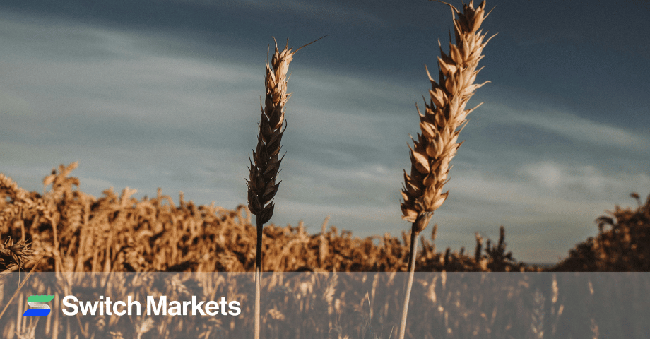 What is Seasonality in Commodity Trading, And How Can You Use This Strategy