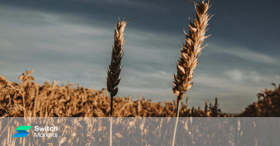 image of What is Seasonality in Commodity Trading, And How Can You Use This Strategy