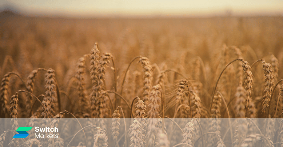 image of How to Trade Soft Commodities - A Comprehensive Guide