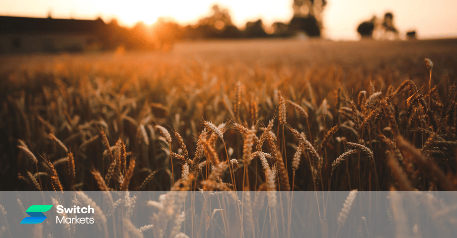 soft-vs-hard-commodities